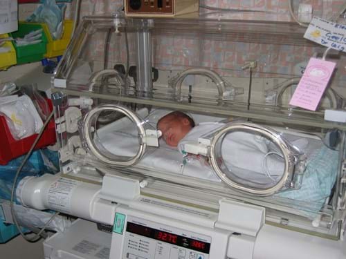 Jane Charman Eleanor 2004