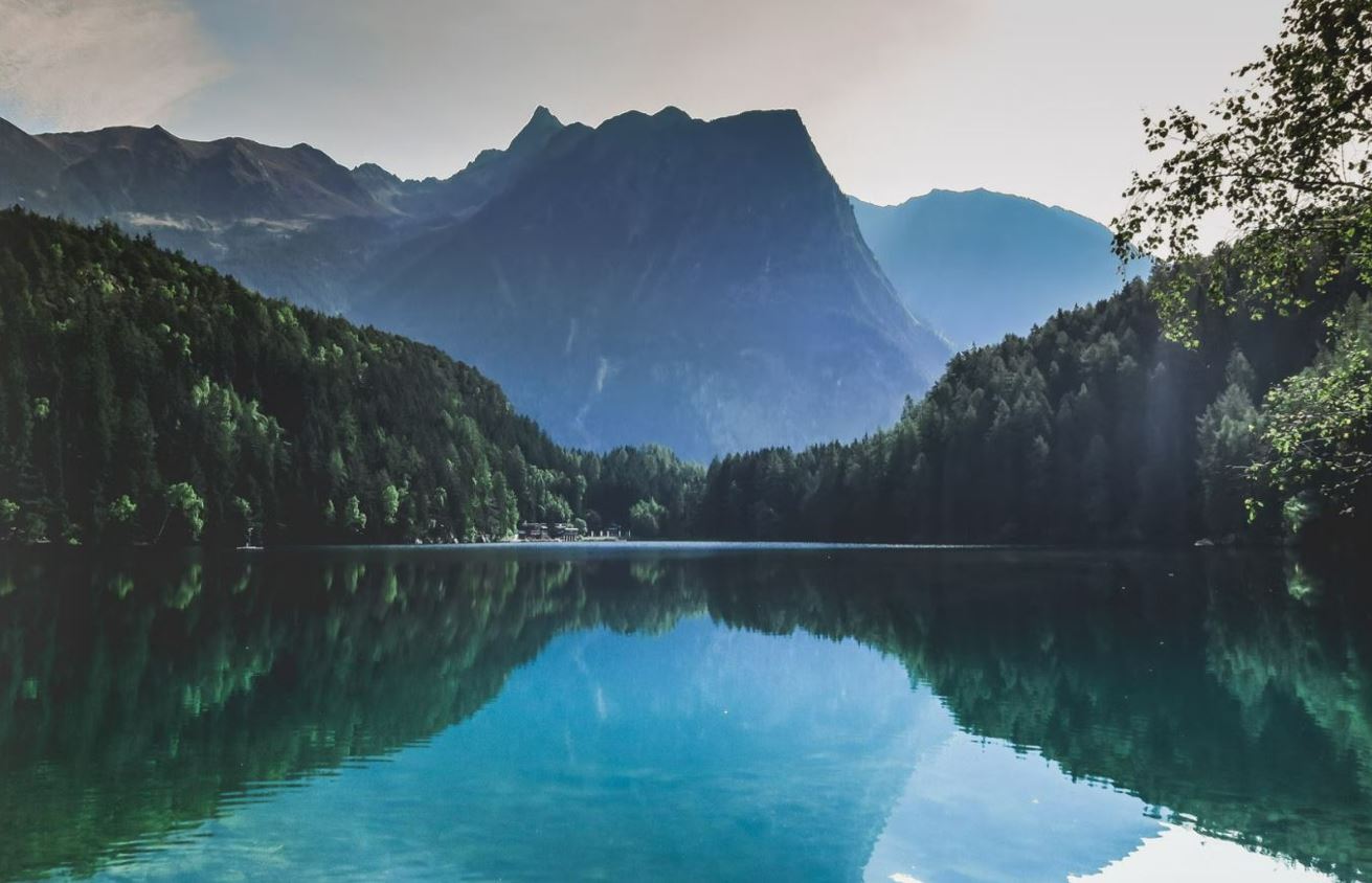 nature boosts eyesight